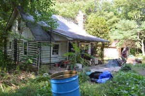 Little cabin in the woods