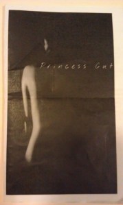 Princess Cut program