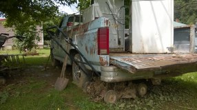 Under the Chinaberry tree
