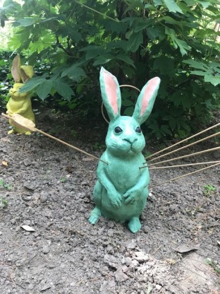 San Sabastian Rabbit