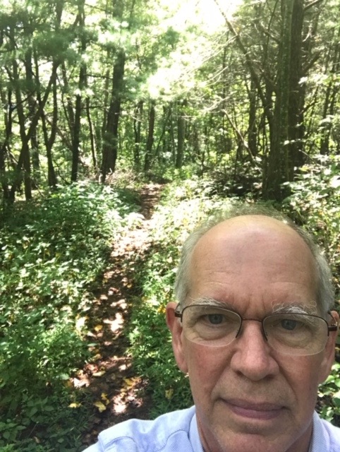Walk in the woods